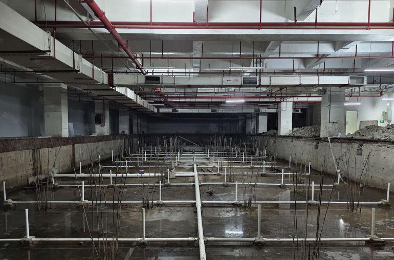 一手业主直租南山科技园1250平方现成游泳馆 适合集训基地