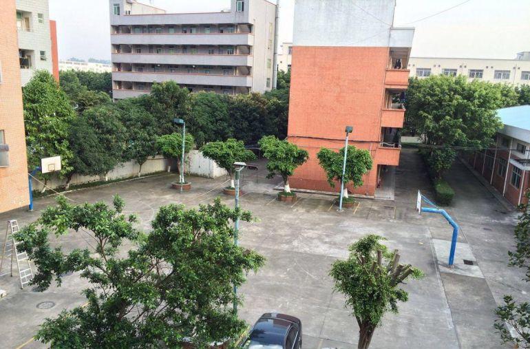 非中介！可分租！地铁口花园式厂房