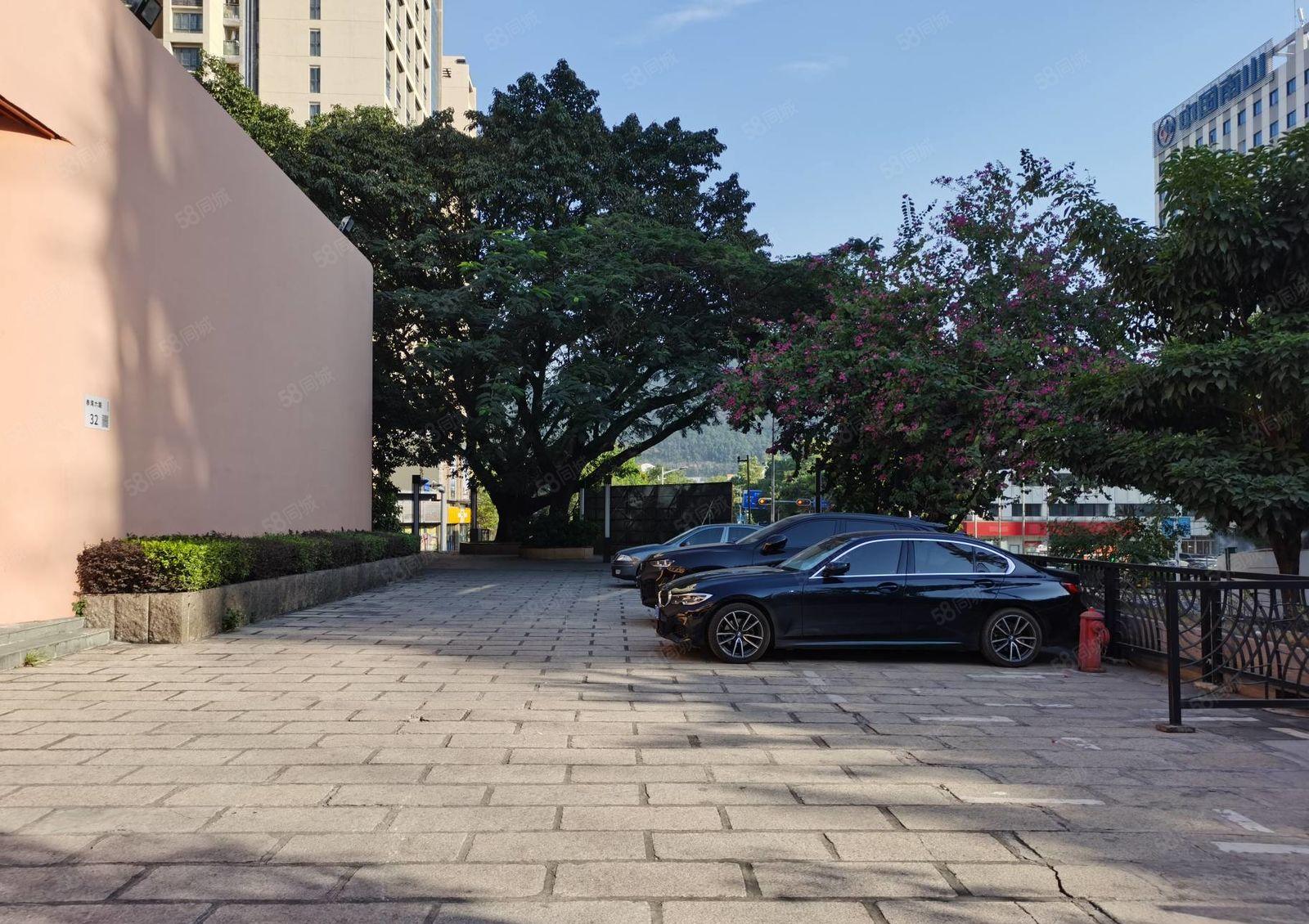 蛇口赤湾地铁站独栋1800平高端私人会所招租平台花园700平