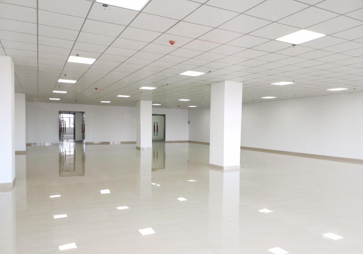 西丽阳光工业区300至1000平米办公研发厂房出租