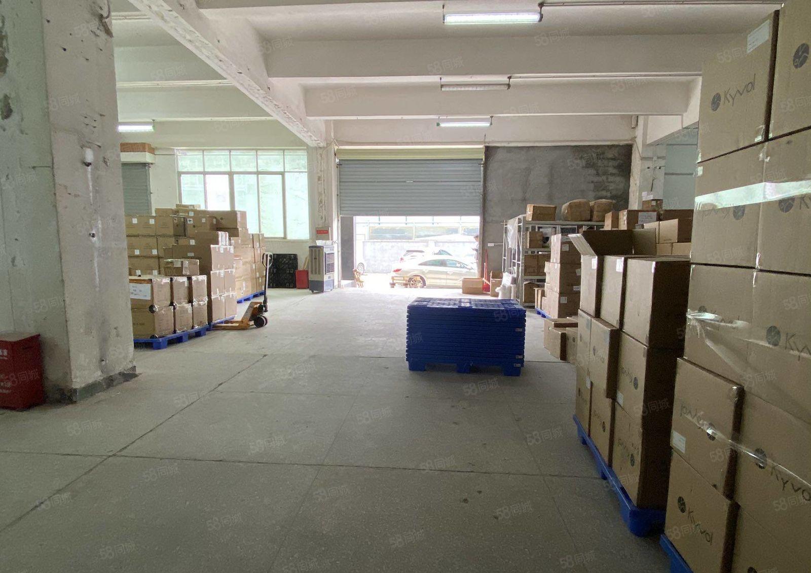 5米层高 一楼1000平 西丽地铁 办公展厅仓储优选地