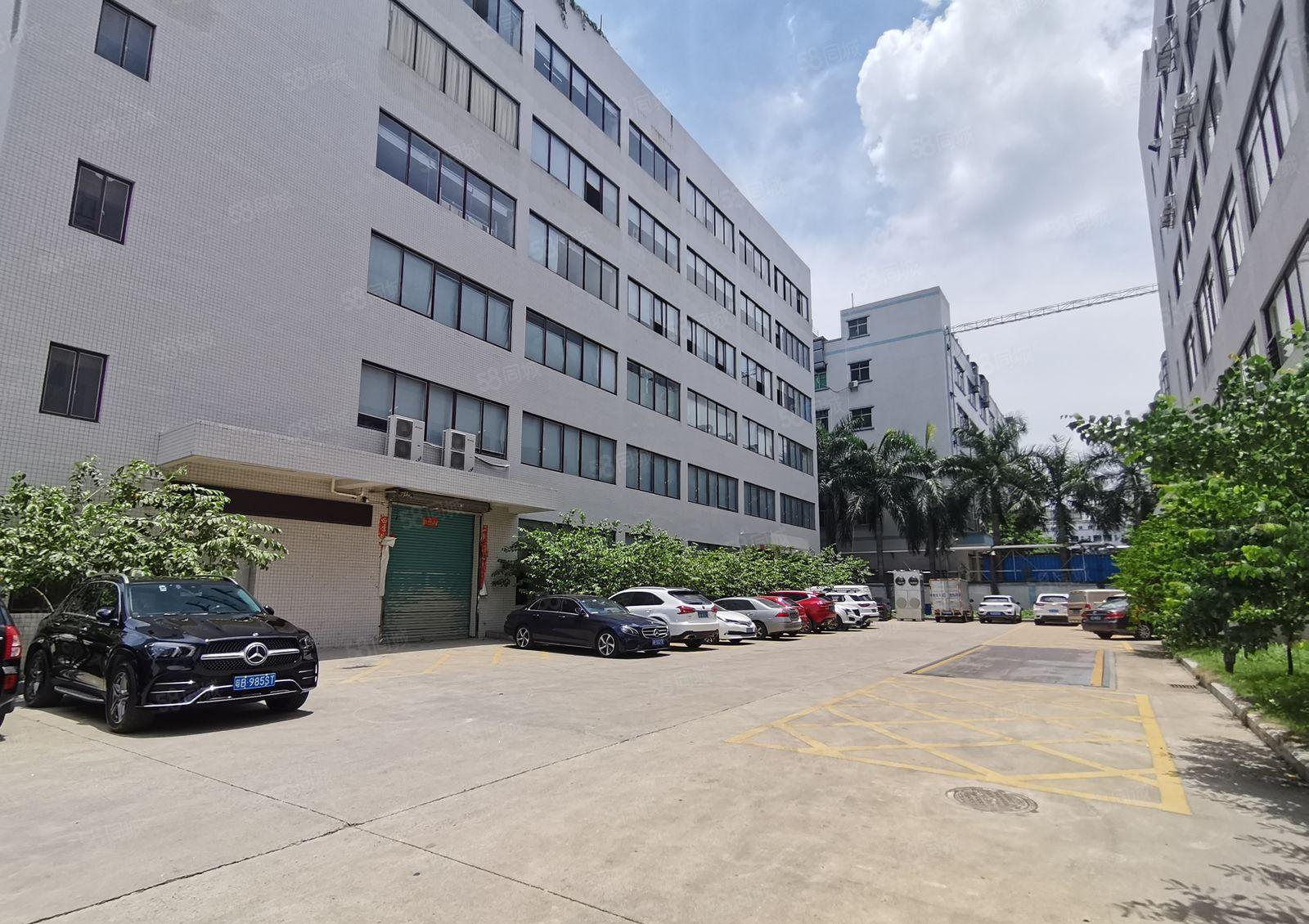 光明12000高新补贴厂 房出租，免租半年1000平起