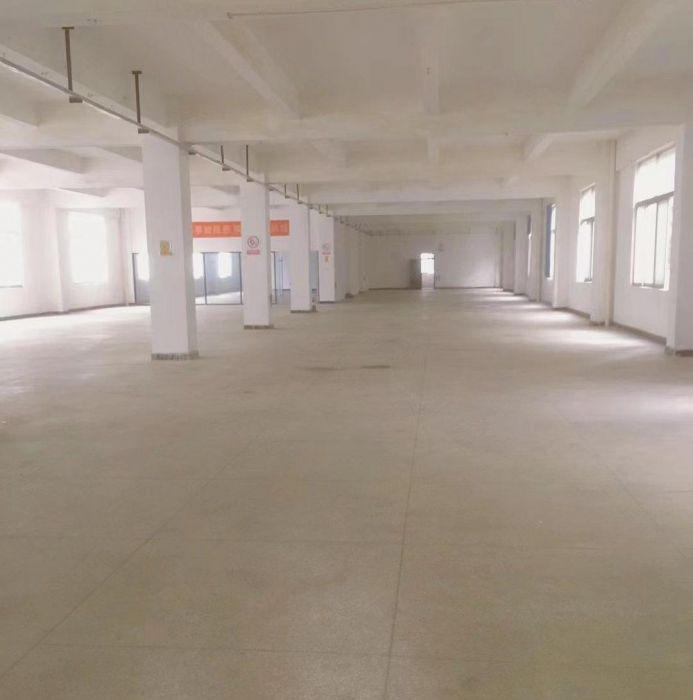 标准式厂房  停车不收费 面积适中