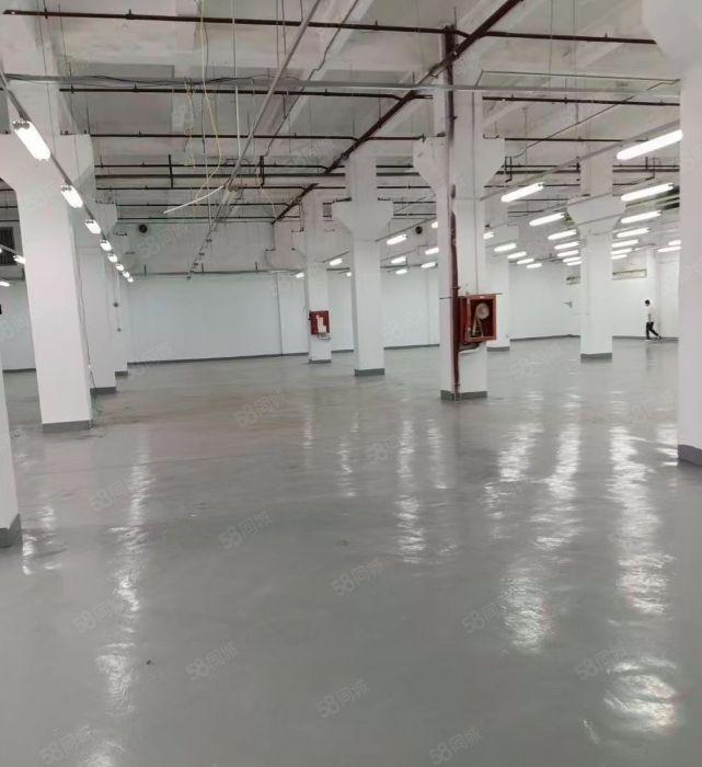 南油一楼层高6.5米特价55出租面积1750平