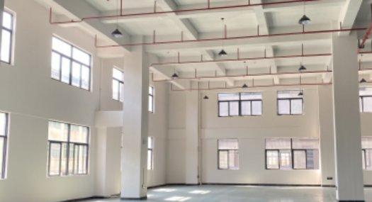 中山横栏 现楼精装修厂房租售