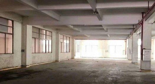 坦洲七村独院2500方标准厂房出租 有证