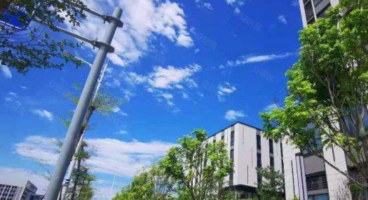 开发商全新厂房，一楼可承重3吨，单层1000方起