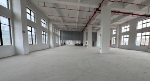 中山中山市 深中通道站10800㎡ 厂房出售独院 有蒸汽 有燃气 可环评