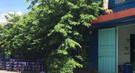 甲类，丙类厂房 出租、合作，加工