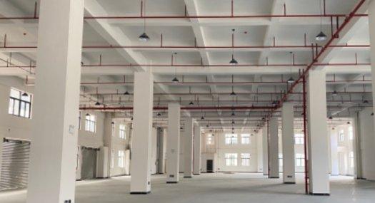 中山横栏 现楼精装修厂房租售